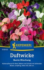 Kiepenkerl duftwickensamen bun gebraucht kaufen  Aurich