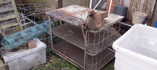 Vintage old solid for sale  HAILSHAM