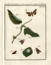 Antique print spectacle d'occasion  Expédié en Belgium