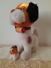 Cane san bernardo usato  Conselice