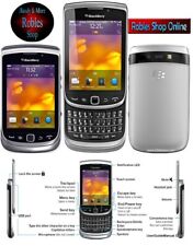 Blackberry torch 9810 gebraucht kaufen  Augsburg