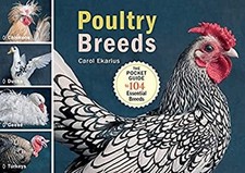 Poultry breeds chickens for sale  Mishawaka