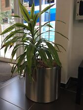Blumenkübel pflanzkübel edel gebraucht kaufen  Leonberg