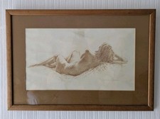 Naomi tydeman female for sale  PORT TALBOT