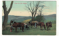 Photo postcard food for sale  DISS