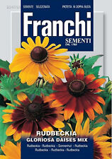 Semi seeds rudbeckia usato  Morra de Sanctis