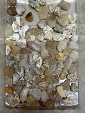 Northern california mixed for sale  San Francisco