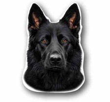 Black german shepherd for sale  Grove City