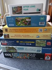 Puzzle konvolut 1000 gebraucht kaufen  Maasholm