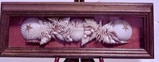 Ocean shell picture for sale  Amarillo