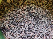 Substrat mineralisch sukkulent gebraucht kaufen  Dorfhain