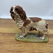 Geenty cavalier king for sale  DARLINGTON