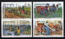 South africa venda d'occasion  Expédié en Belgium