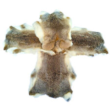 10x natural rabbit for sale  UK