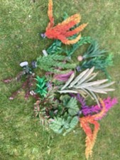 Colourful fish tank for sale  WALSALL