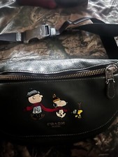 Coach leather peanuts for sale  Foley