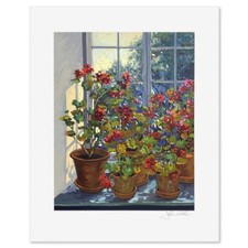 John powell geraniums for sale  North Las Vegas