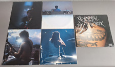 RED HOT CHILI PEPPERS original Vinyl 4LP Live In Hyde Park (2004 Warner Germany), usado comprar usado  Enviando para Brazil