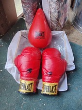 everlast speed bag for sale  Garrison