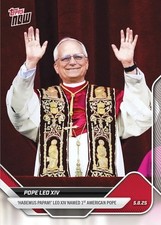 Papa leone xiv usato  Negrar