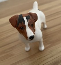 Jack russell terrier for sale  MORPETH