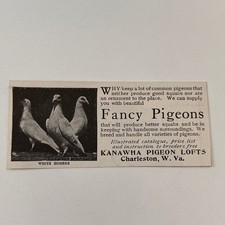 Kanawha pigeon lofts for sale  Hinckley
