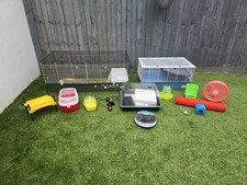 Complete chicken egg for sale Complete chicken egg for sale  TUNBRIDGE WELLS
