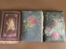 Konvolut poesiealbum antik gebraucht kaufen  Karlsruhe