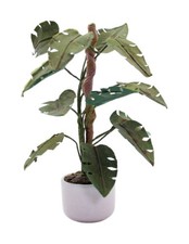 Monstera model dollhouse for sale  New Milford
