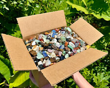 Wholesale box small for sale  Fort Myers