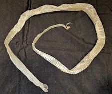 Riginale echt gehäutete gebraucht kaufen  Oedheim