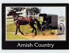 Postcard horse buggy for sale  Almond