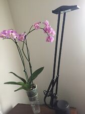 Lamps desk obo for sale  Lynbrook