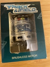 Dualsky motor track gebraucht kaufen  Friedrichsdorf