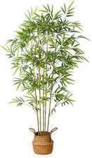 Artificial bamboo plant for sale  SALFORD