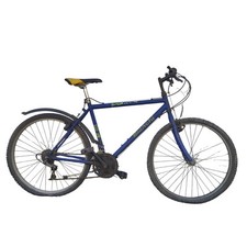 Bicicletta bianchi mtb usato  Vicenza