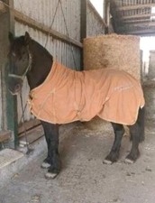 Imperial riding utdoordecke gebraucht kaufen  Oberhausen