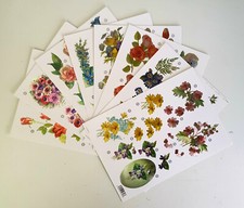 Wild flower gardenfoiled for sale  HARROW
