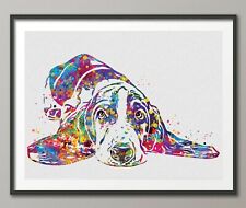 Basset hound dog for sale  HOUGHTON LE SPRING