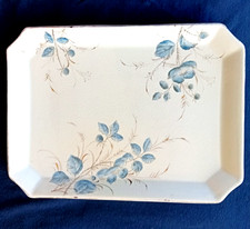 1903 ceramica sci usato  Malnate