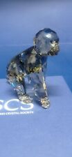 Swarovski animali gorilla usato  Sorrento
