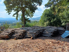 carpino legna ardere usato carpino legna ardere usato Scarperia