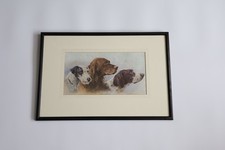 Vintage dog print for sale  WOLVERHAMPTON