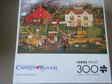 Fireside companions 300 for sale  Kalamazoo