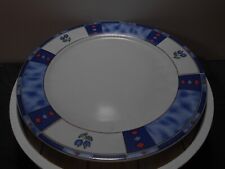 Teller 30cm durchmesser gebraucht kaufen  Hamm