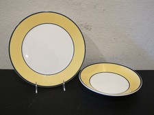 Treviso pagnossin ironstone for sale  Aurora