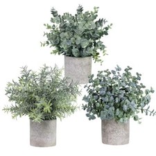 Set mini potted for sale  Lathrop