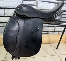 Wide english pony for sale  LLANGOLLEN