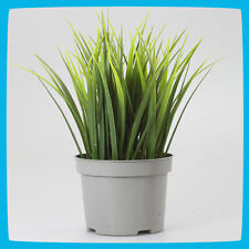 IKEA Indoor Outdoor Dom Ogród Sztuczna roślina Zielona trawa Roślina domowa w doniczce, używany na sprzedaż  PL