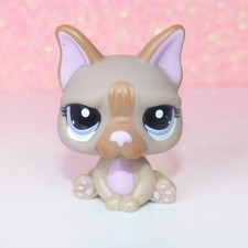 Authentic littlest lps d'occasion  Expédié en Belgium